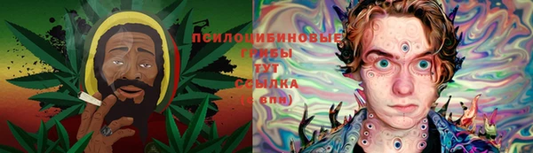 молекула духа Арсеньев