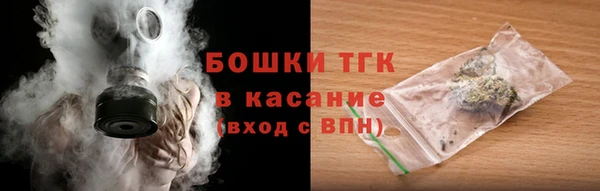 молекула духа Арсеньев