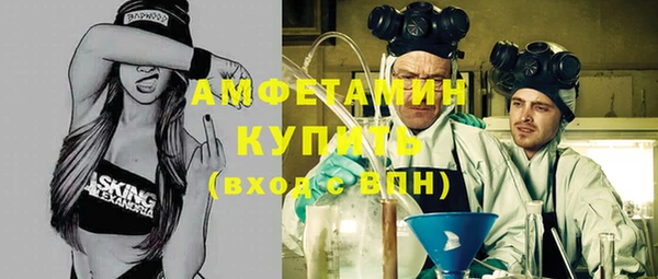 молекула духа Арсеньев