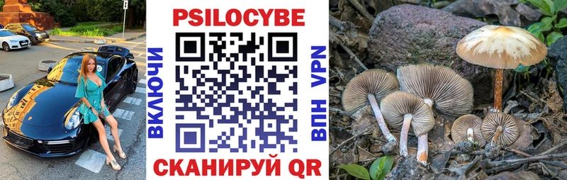 сколько стоит  Холмск  Псилоцибиновые грибы Magic Shrooms 